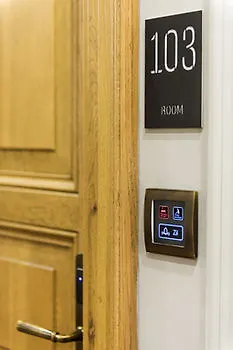 Nevv Bosphorus Hotel&suites Istanboel