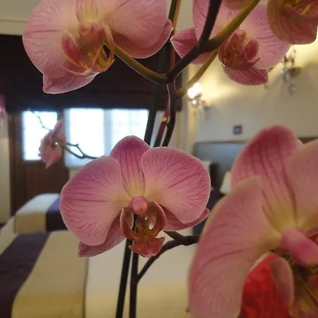 Bakirkoy Tashan Business & Airport מלון 2*