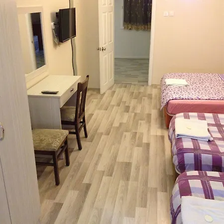 Hotel Erenler & 2*
