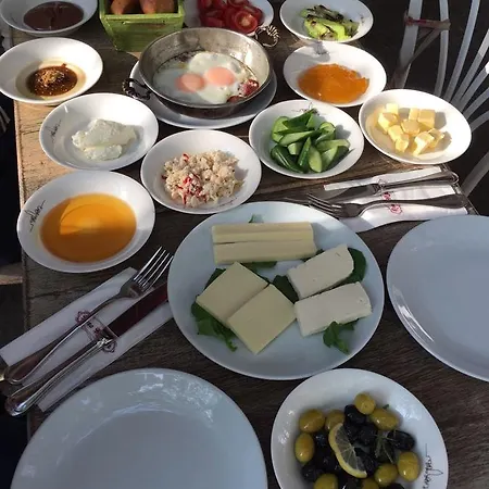 弗里达套房酒店 公寓 伊斯坦布尔