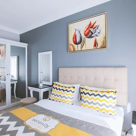 Serenity Airport Hotel 4*