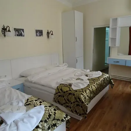 Tulip Guest house 2*