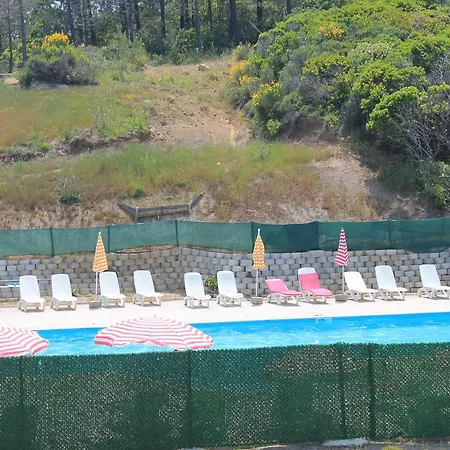 Sahil Kamp Camping