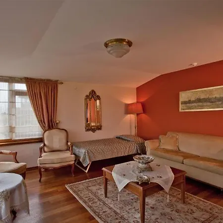 1207 Special Class Sultanahmet Hotel 4*