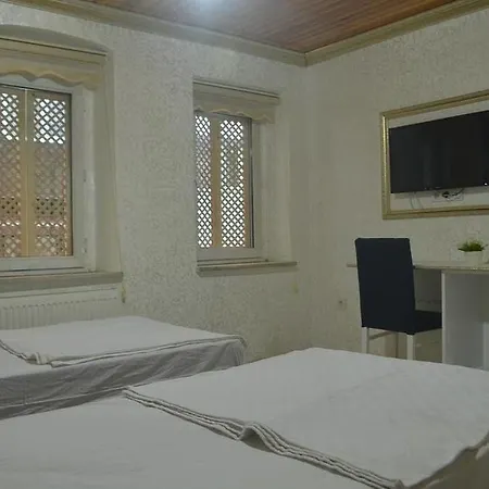 Begonia 3* Istanbul