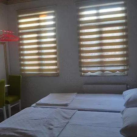 Begonia 3* Istanbul