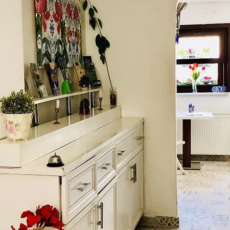 The House Of Tulpan Hotel Provincia di Istanbul