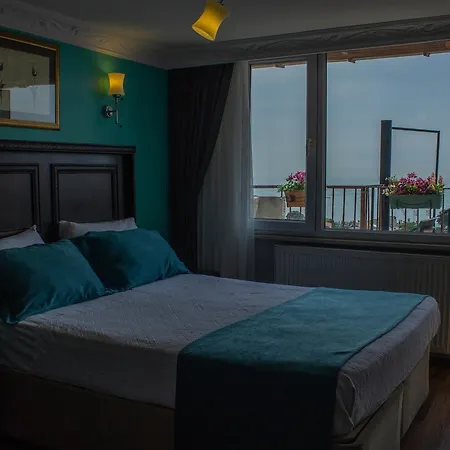 Tulip House 3*
