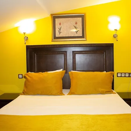 Hotel Tulip House