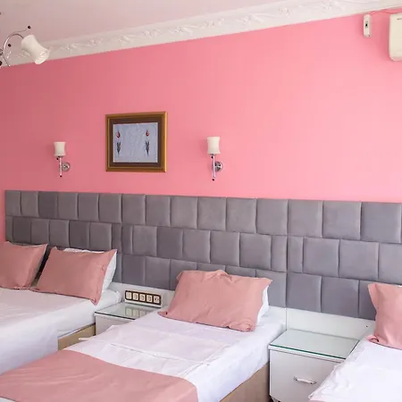 Tulip House 3* Provincia di Istanbul