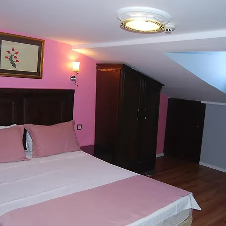 Tulip House 3*