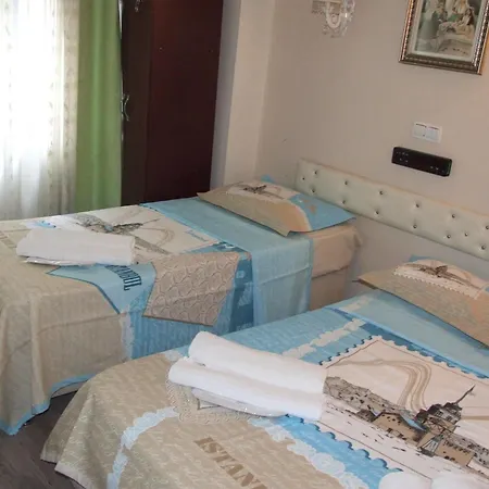 Hotel Artemis Old 3*