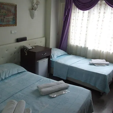 Artemis Old Hotel 3*