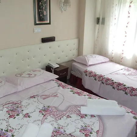 Artemis Old Hotel 3*