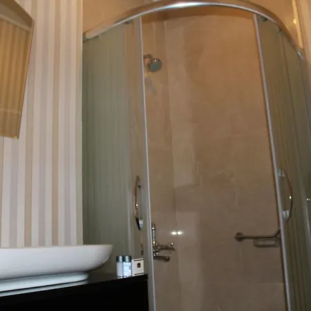 Bakirkoy Tashan Business & Airport Hotel Provincia di Istanbul