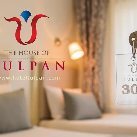 The House Of Tulpan