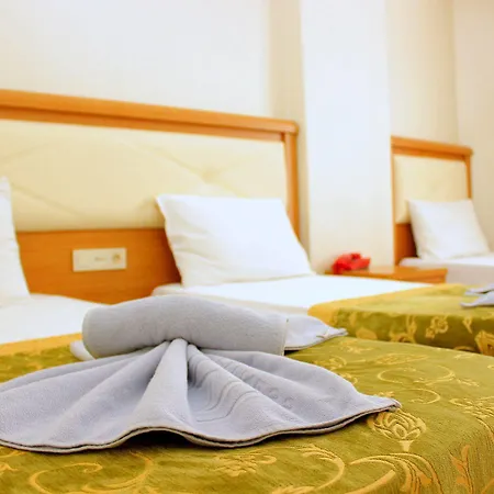 Отель Buyuk Paris 3*