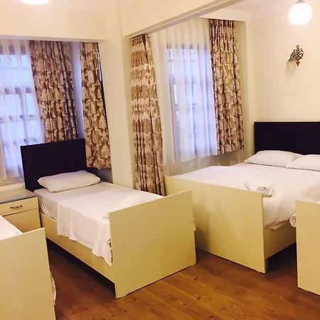 Hotel Armis House