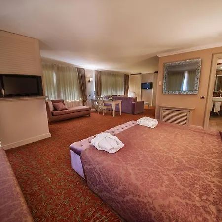 Hotel Dream Hill Business Deluxe Asia 4*