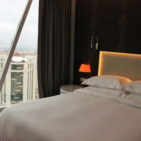 Burgu Arjaan By Rotana Hotel 5*