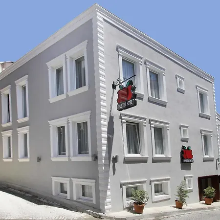 Apple Tree Istambul