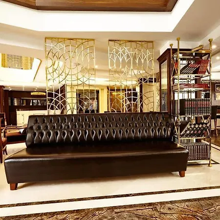 Beethoven - Special Category Isztambul