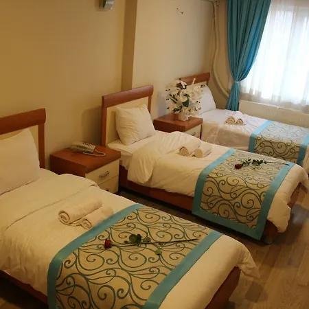 Sim Old 3* Provincia di Istanbul
