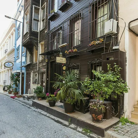 Naz Wooden House 3* Стамбул