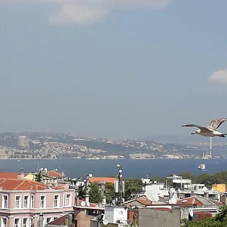 Отель Hali
