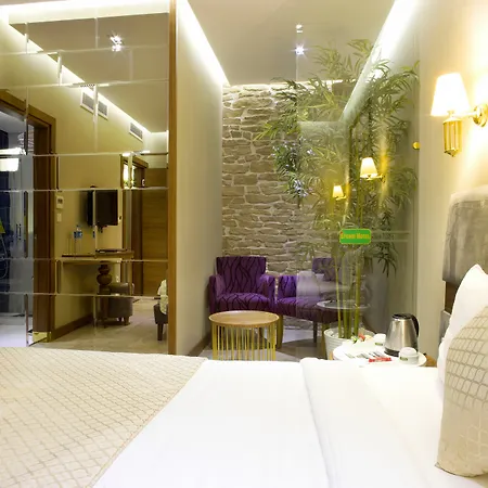 Hotel Nowy Efendi - Special Category Istanbul