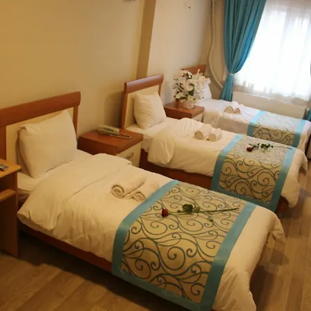 Hotel Sim Old Provincia di Istanbul
