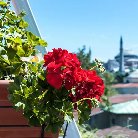 Hotel Sude Konak Istanbul
