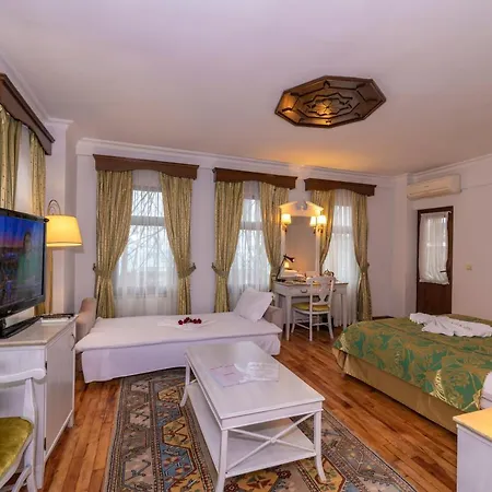 Arena - Special Class 4* Istanbulská provincie