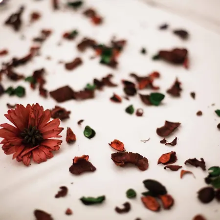 بوك فندق 4*