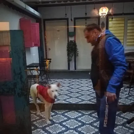 Zeytin Butik Hotel Istanbul