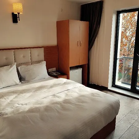 Hotel The Camelot