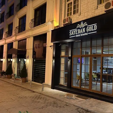 伍德赛德黄金大酒店 3* 伊斯坦布尔