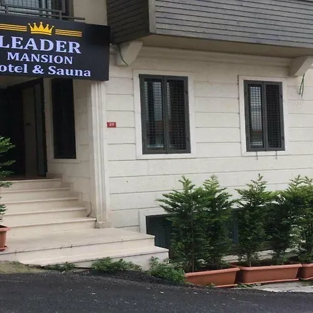 Leader Mansion & Sauna