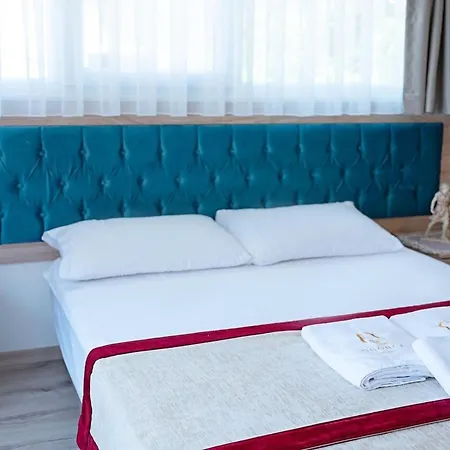 The Laila Hotel 3*