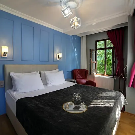 Walton Balat Sterilized * Istanbul