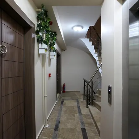 Walton Balat Sterilized * Istanbul