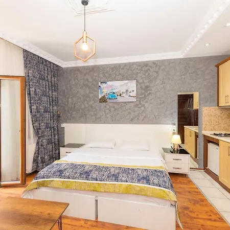 Opera House Hotel 2*