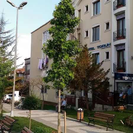 Hotel Torun Old