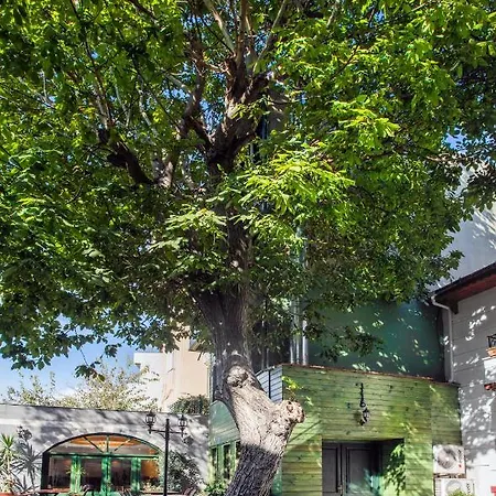 Rose Garden 4* Istanbul