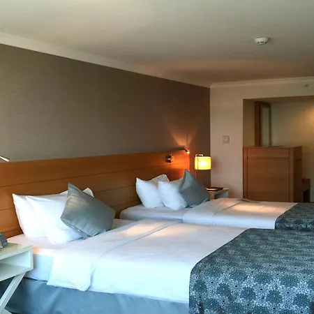 Dedeman Hotel Istanbulská provincie