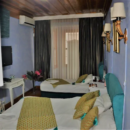 Otel The Trip Old 3*