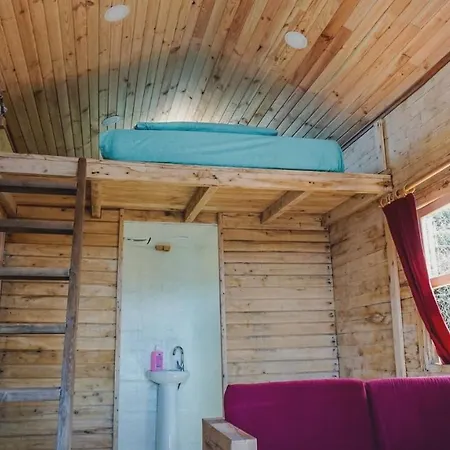 Darni Karavan * Estambul