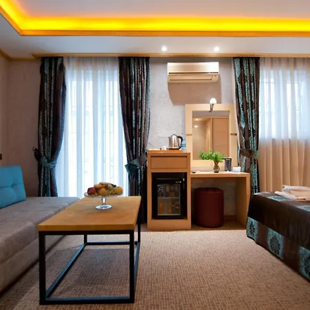 Grand Ambiance فندق اسطنبول