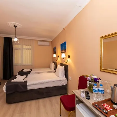 Avrupa Palace Отель 2*