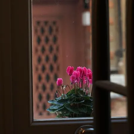 Tilas - In 19th Century Wooden Townhouse,kadikoy Istanbul